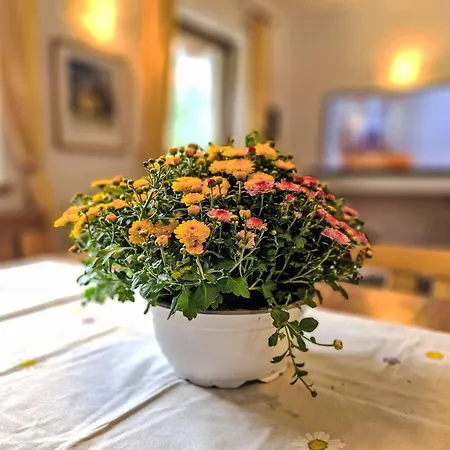 Apartamento Am Weitfeld-2 By Interhome *